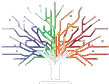 Root Managed Services logo